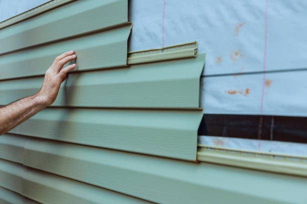 Best Stone Veneer Siding  in Montpelier, ID